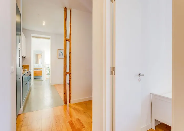 Akicity Anjos Cerulean * Lissabon